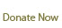 Donate Now