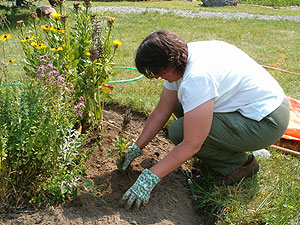Volunteers at the mill